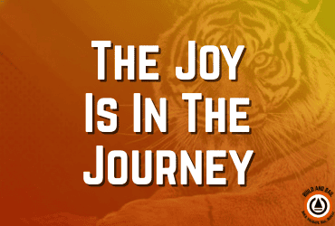 The Joy Is In The Journey the joy is in the journey build and bail